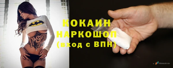 сатива Медногорск