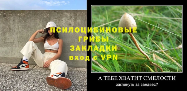 сатива Медногорск