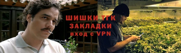 сатива Медногорск